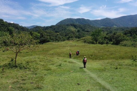 Jungle Trek and Homestay from Medellin