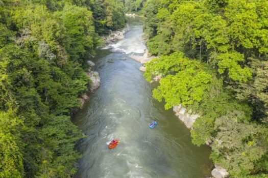 5 Day Deep Jungle Expedition Colombia