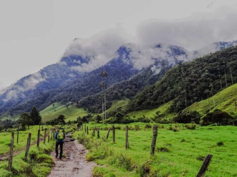 Paramillo of Quindío – Los Nevados National Park