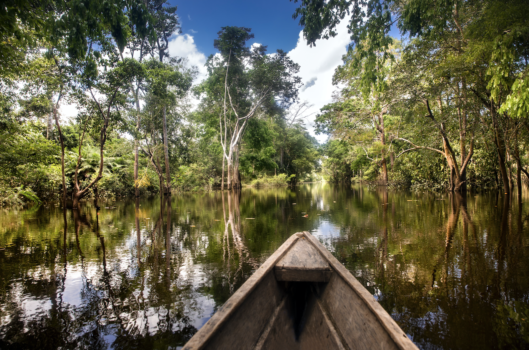 Amazon River – 4 Days