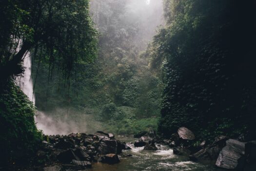 Darien Gap, Rainforest, and Culture from Panama