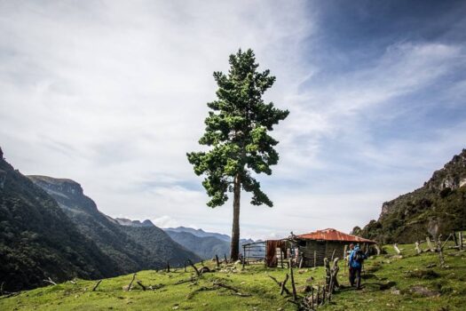 Paramo Trek Day Tour from Medellin