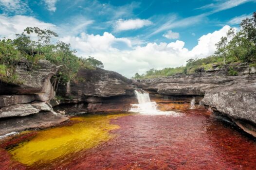 Caño Cristales 3 Day Tour